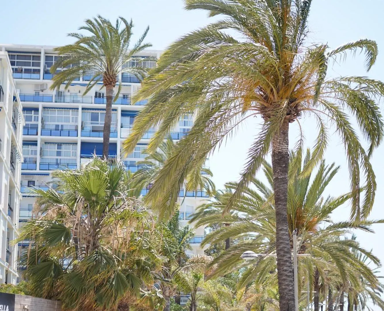 Great Studio Near The Sea Marbella Apartment