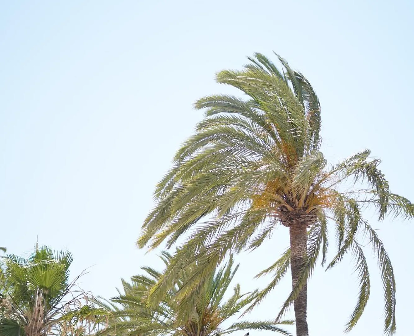 Great Studio Near The Sea Marbella 0*,